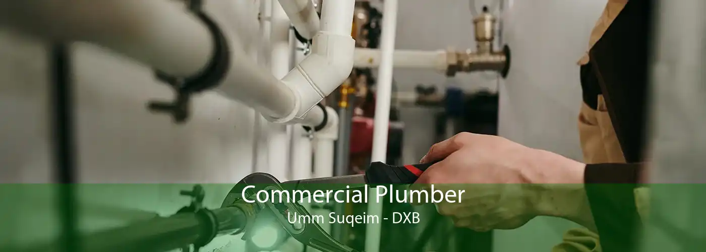 Commercial Plumber Umm Suqeim - DXB