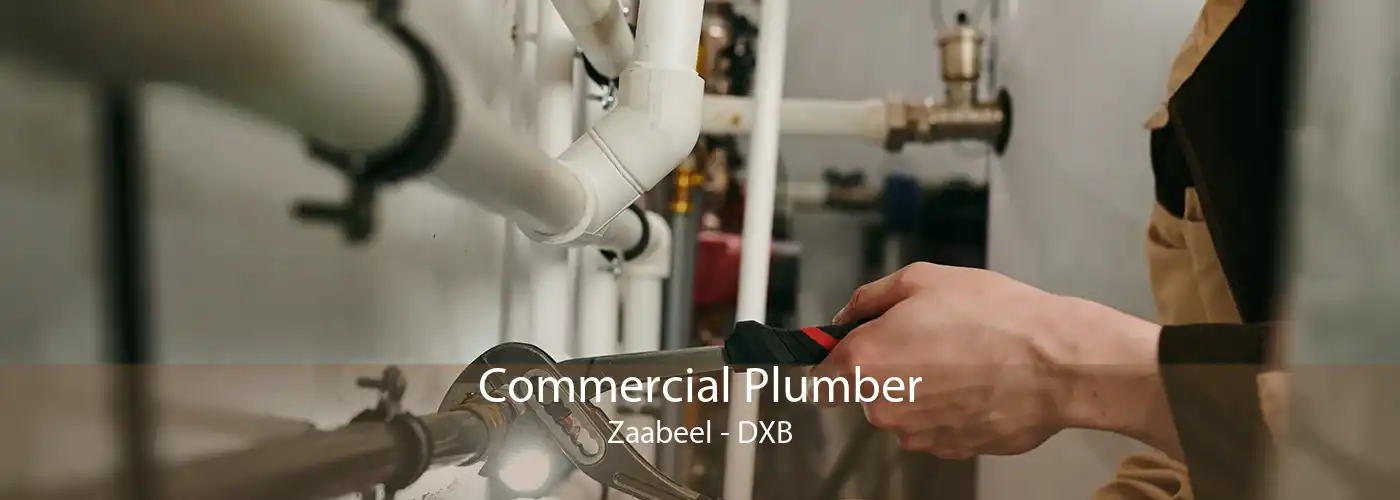 Commercial Plumber Zaabeel - DXB