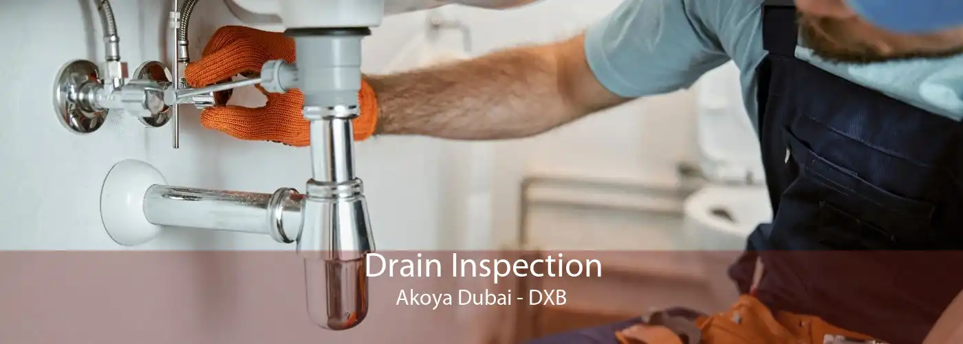 Drain Inspection Akoya Dubai - DXB