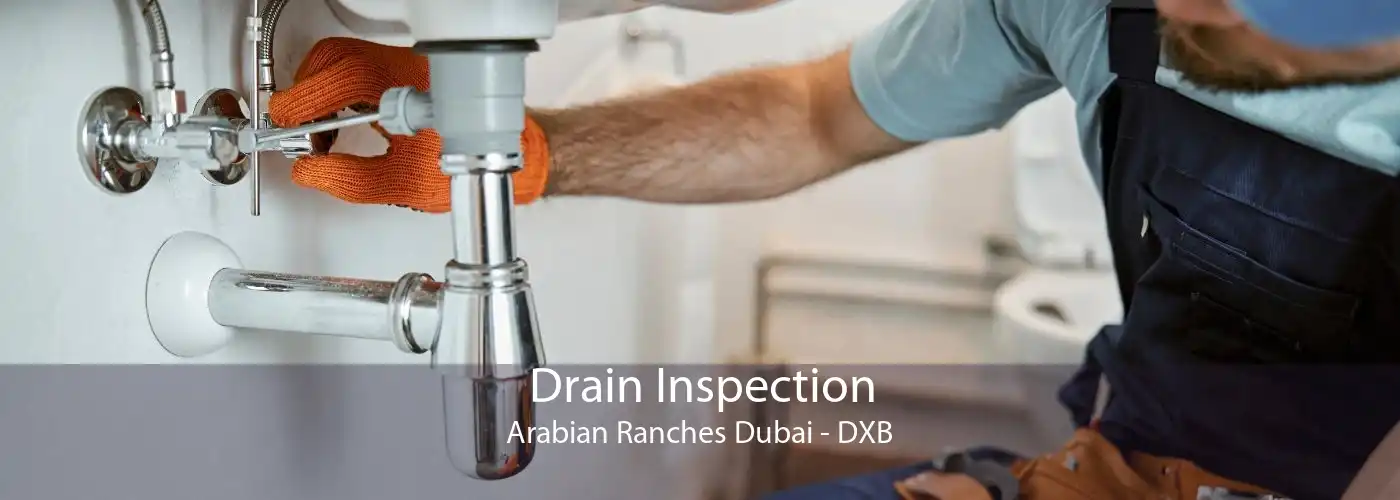 Drain Inspection Arabian Ranches Dubai - DXB
