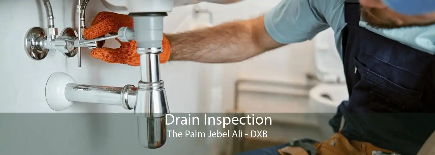 Drain Inspection The Palm Jebel Ali - DXB