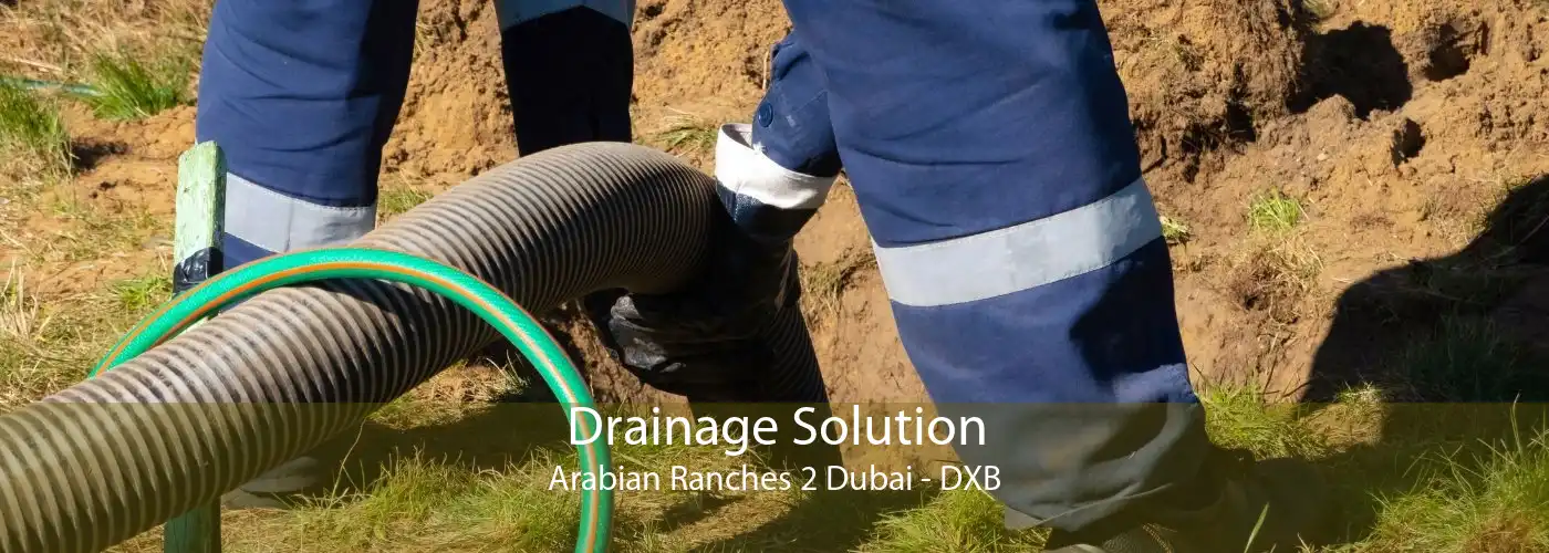 Drainage Solution Arabian Ranches 2 Dubai - DXB
