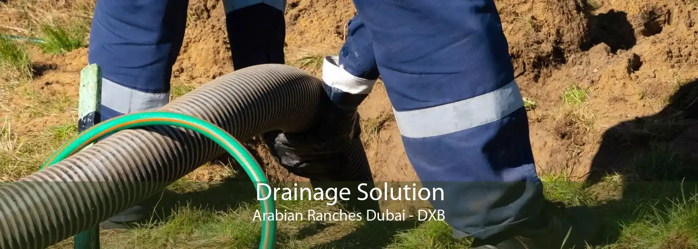 Drainage Solution Arabian Ranches Dubai - DXB