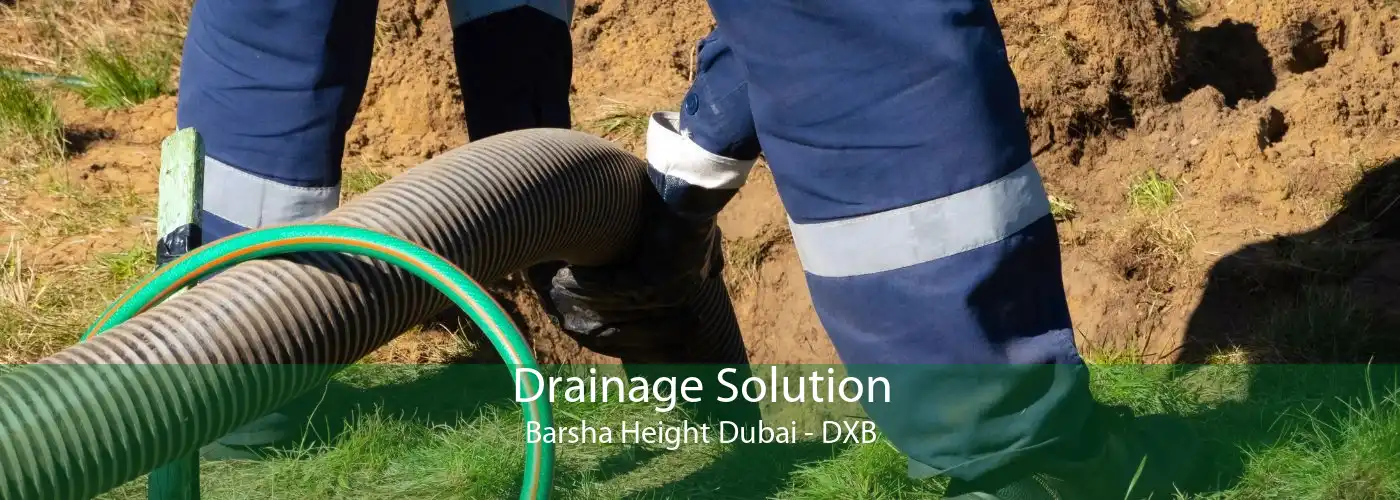 Drainage Solution Barsha Height Dubai - DXB