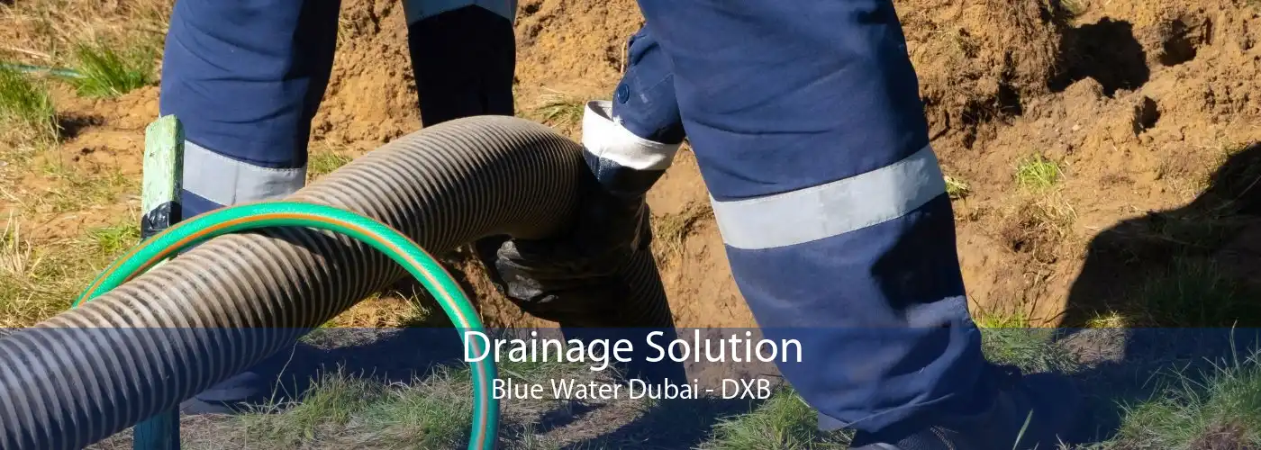 Drainage Solution Blue Water Dubai - DXB