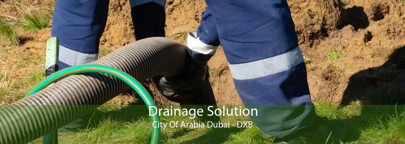 Drainage Solution City Of Arabia Dubai - DXB