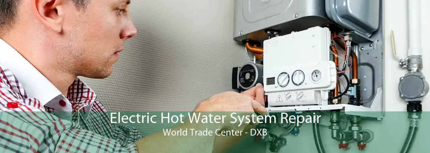 Electric Hot Water System Repair World Trade Center - DXB
