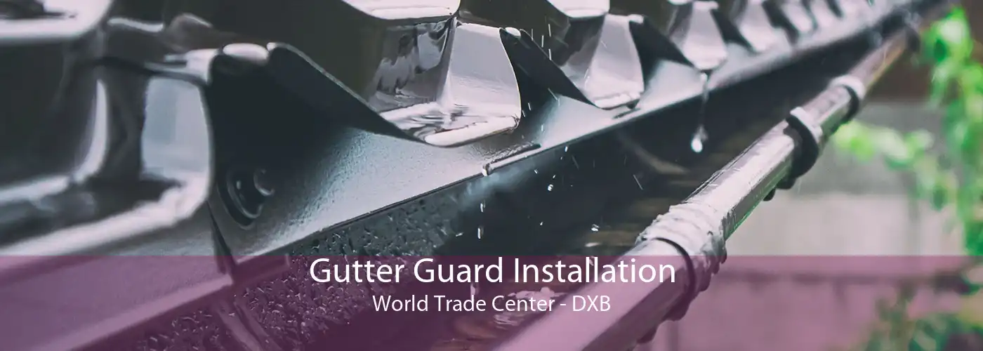 Gutter Guard Installation World Trade Center - DXB