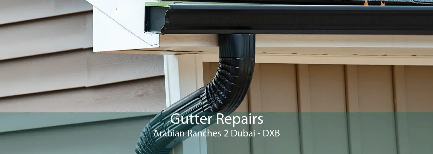 Gutter Repairs Arabian Ranches 2 Dubai - DXB