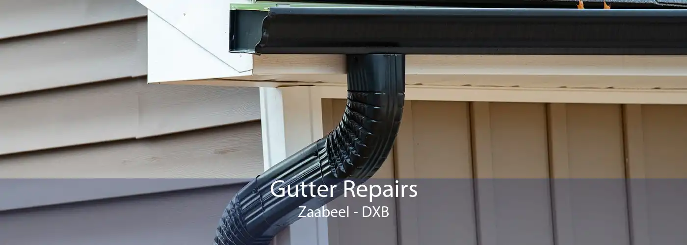 Gutter Repairs Zaabeel - DXB