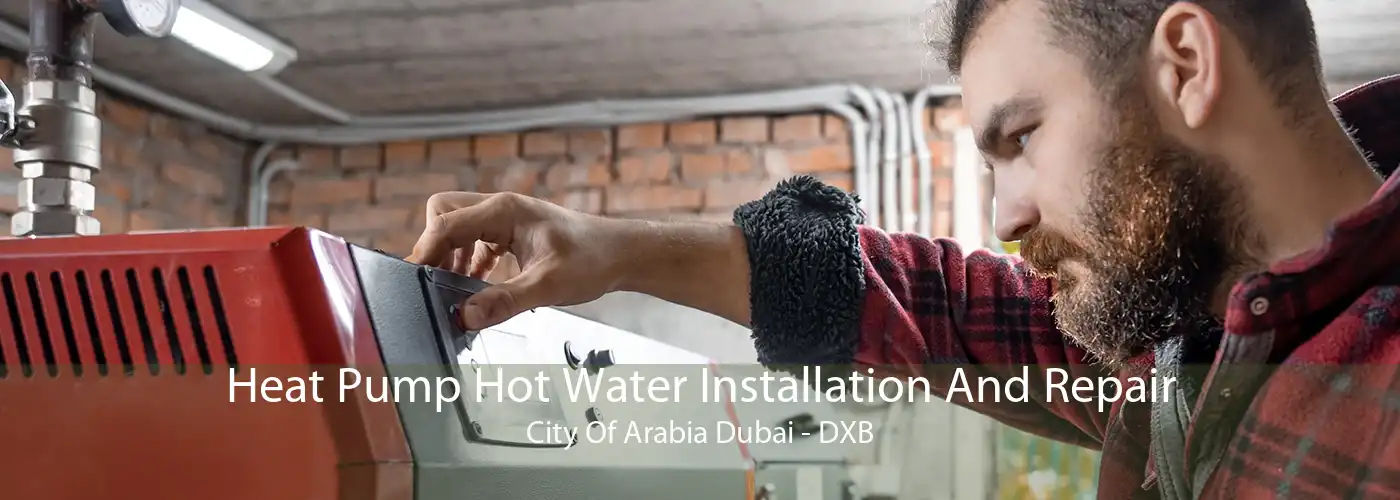 Heat Pump Hot Water Installation And Repair City Of Arabia Dubai - DXB
