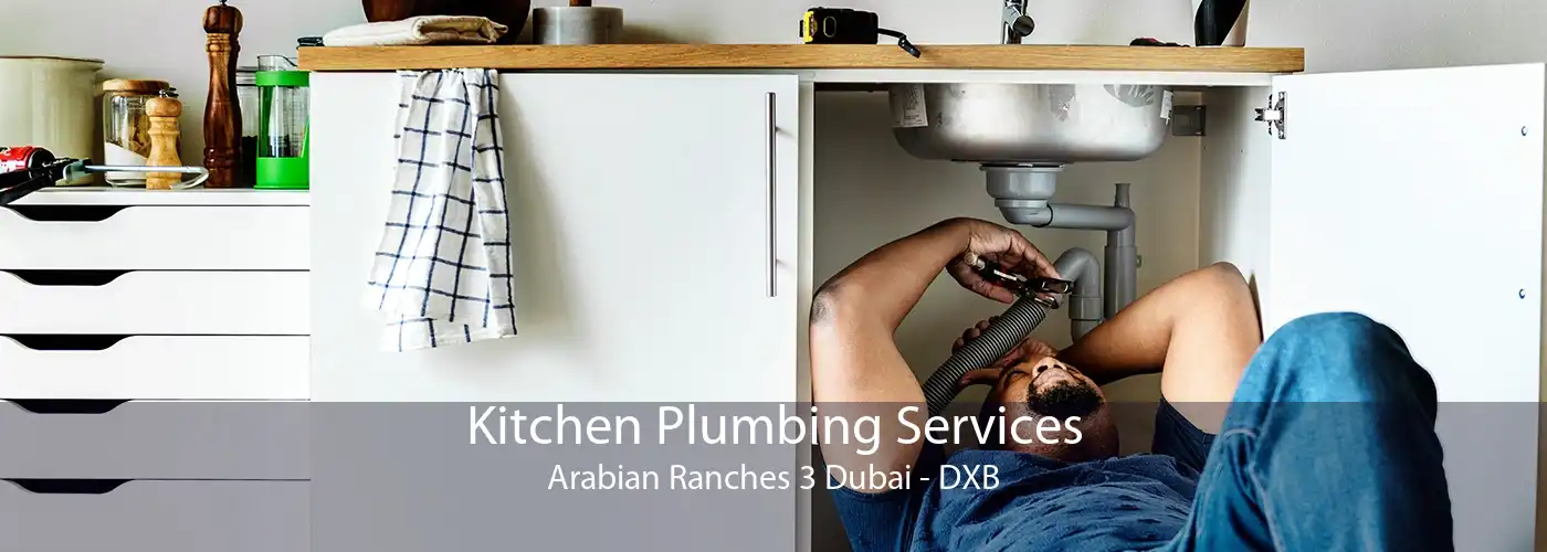 Kitchen Plumbing Services Arabian Ranches 3 Dubai - DXB