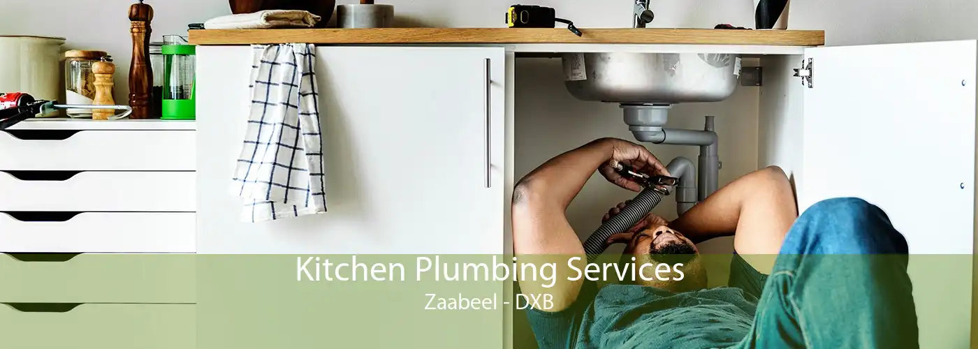 Kitchen Plumbing Services Zaabeel - DXB