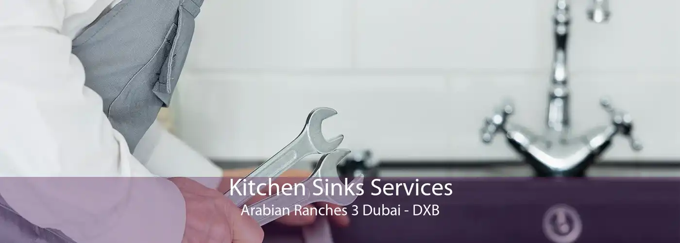 Kitchen Sinks Services Arabian Ranches 3 Dubai - DXB