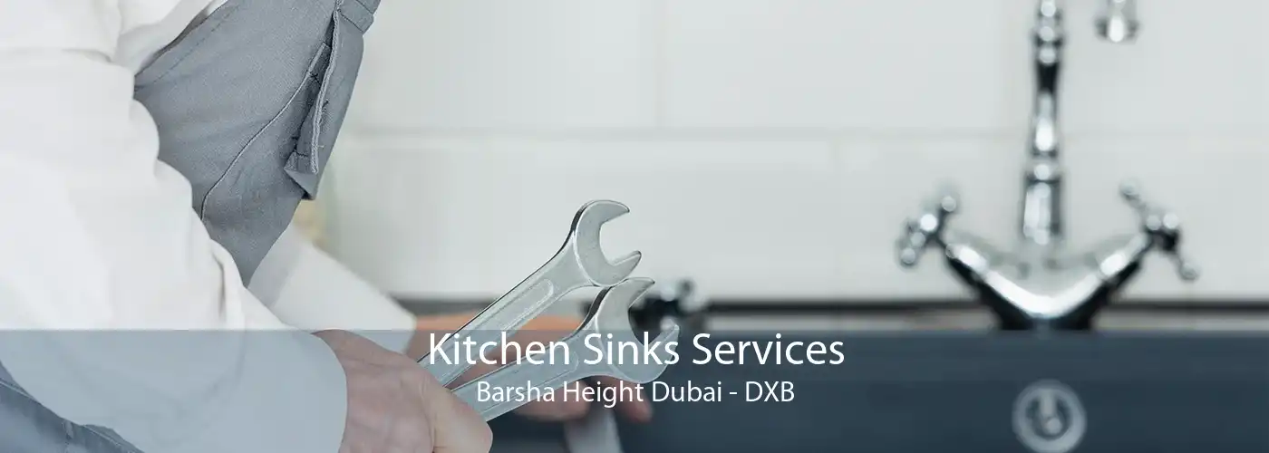 Kitchen Sinks Services Barsha Height Dubai - DXB