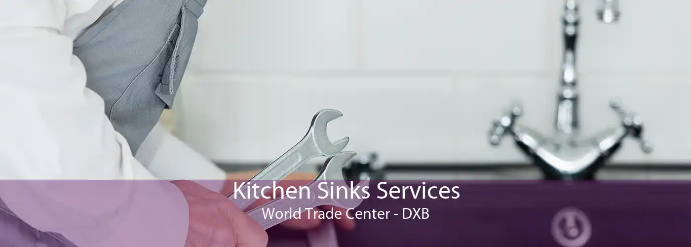 Kitchen Sinks Services World Trade Center - DXB