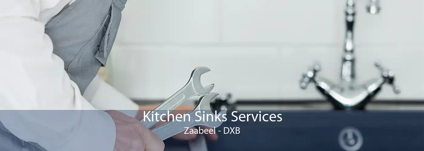 Kitchen Sinks Services Zaabeel - DXB