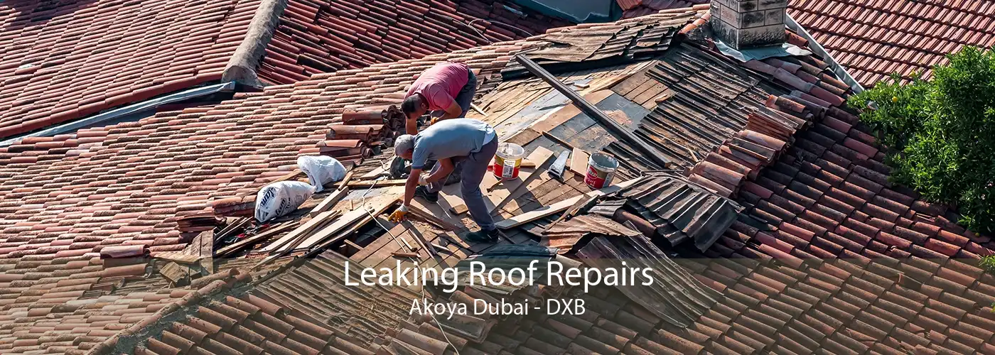 Leaking Roof Repairs Akoya Dubai - DXB