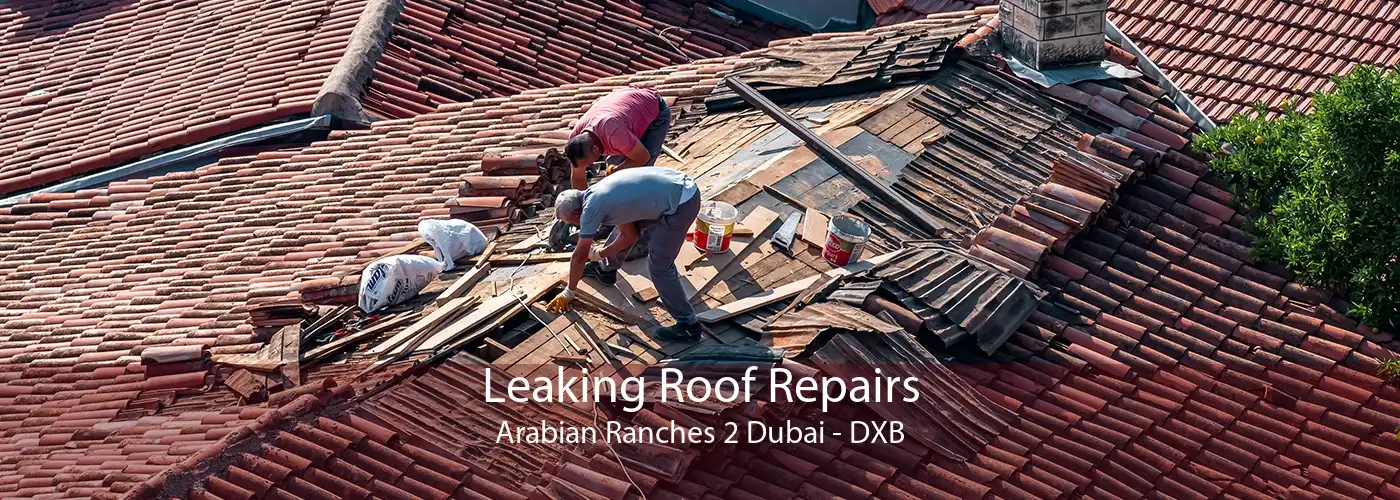 Leaking Roof Repairs Arabian Ranches 2 Dubai - DXB
