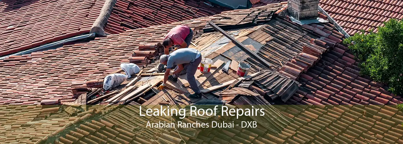 Leaking Roof Repairs Arabian Ranches Dubai - DXB