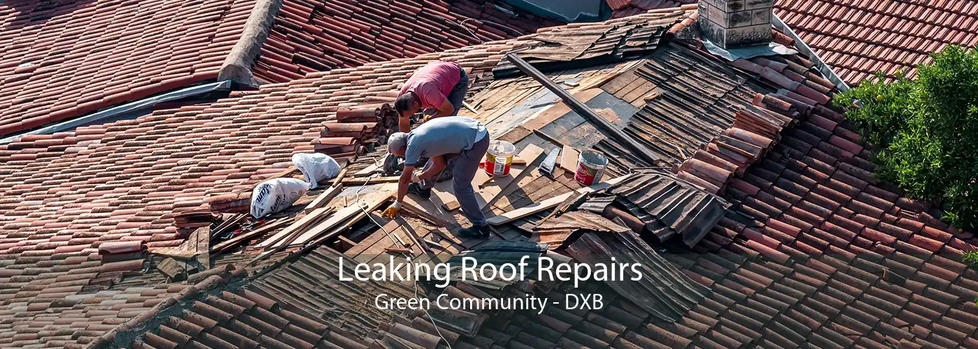 Leaking Roof Repairs Green Community - DXB