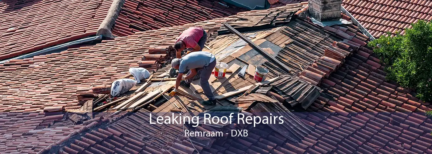 Leaking Roof Repairs Remraam - DXB
