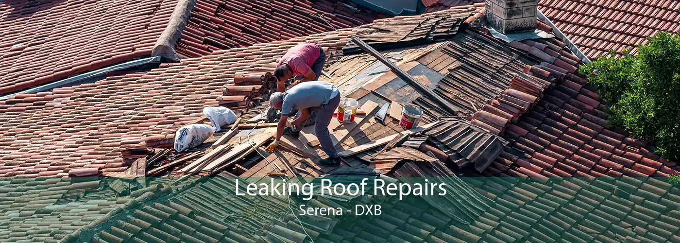 Leaking Roof Repairs Serena - DXB