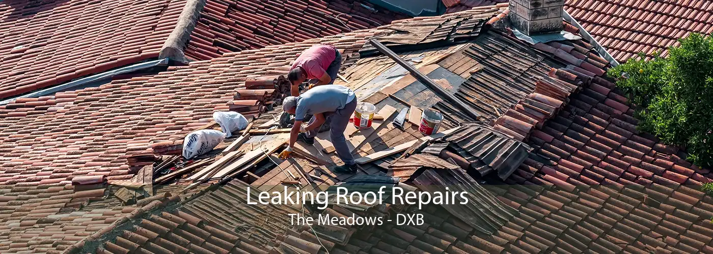 Leaking Roof Repairs The Meadows - DXB