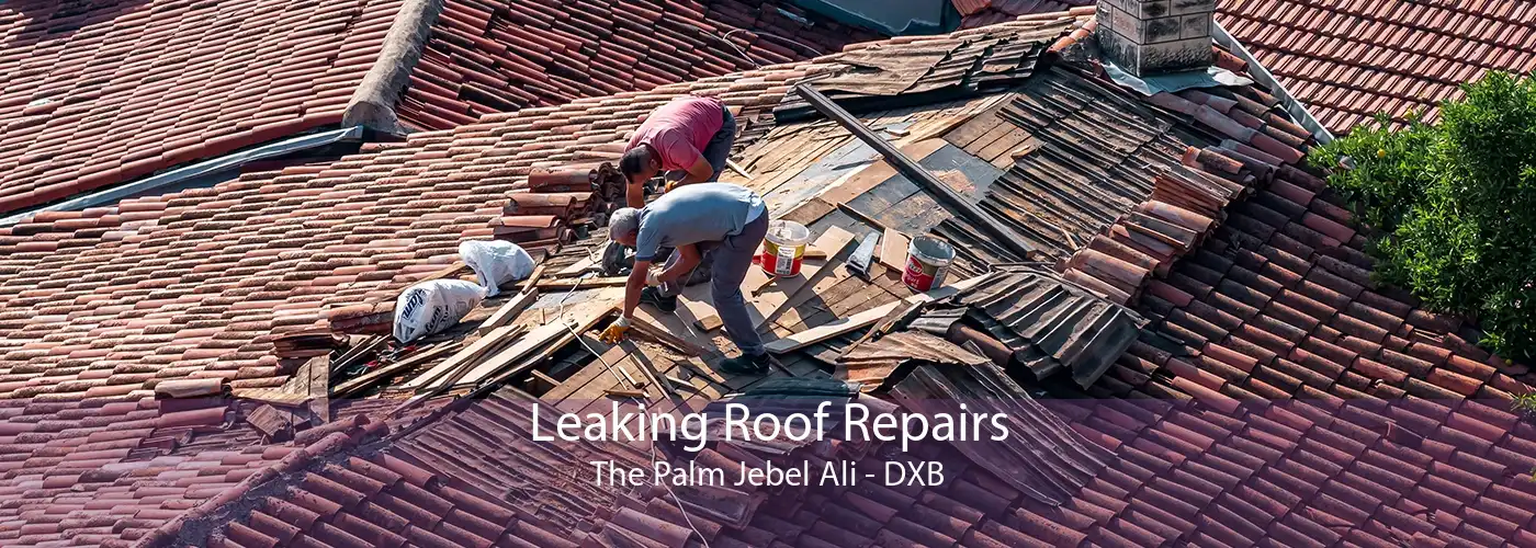 Leaking Roof Repairs The Palm Jebel Ali - DXB