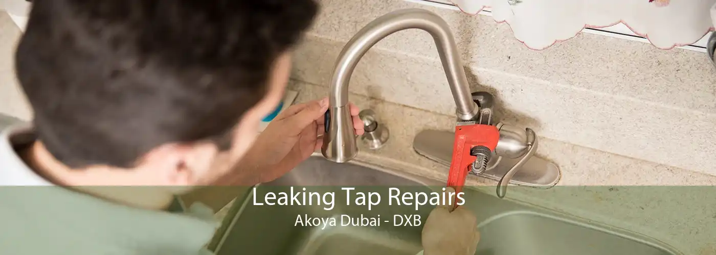 Leaking Tap Repairs Akoya Dubai - DXB