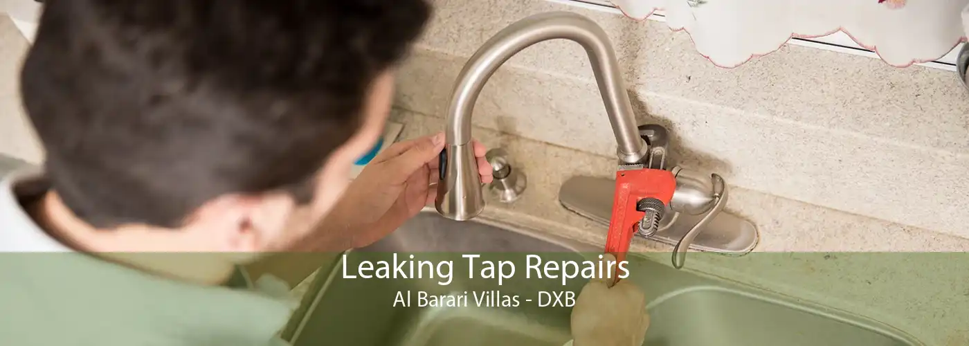 Leaking Tap Repairs Al Barari Villas - DXB