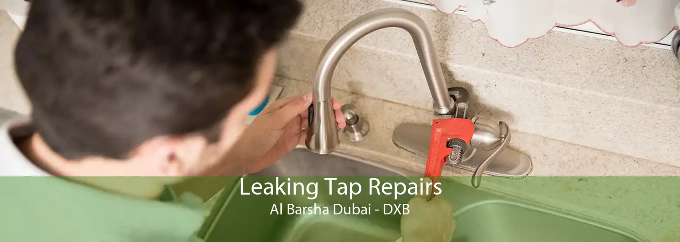 Leaking Tap Repairs Al Barsha Dubai - DXB