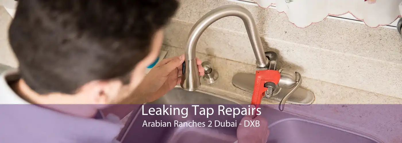 Leaking Tap Repairs Arabian Ranches 2 Dubai - DXB