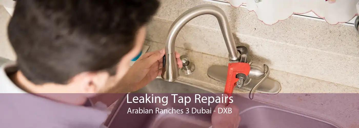 Leaking Tap Repairs Arabian Ranches 3 Dubai - DXB