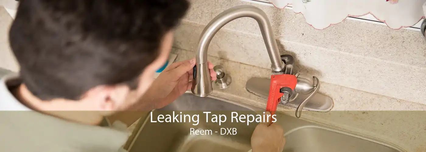 Leaking Tap Repairs Reem - DXB
