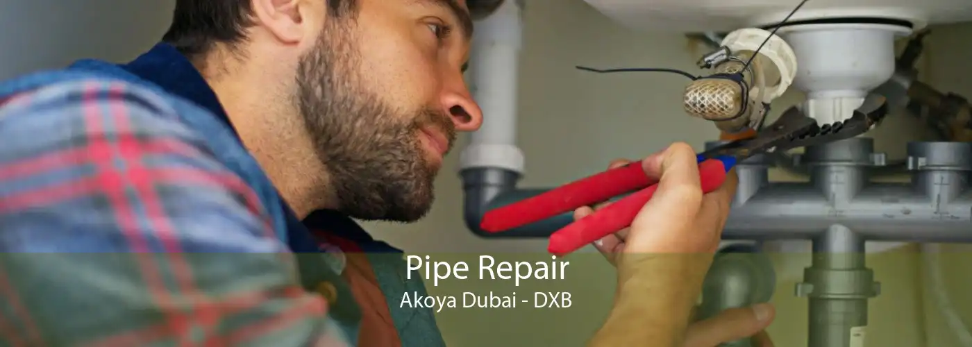 Pipe Repair Akoya Dubai - DXB