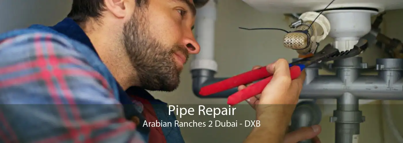 Pipe Repair Arabian Ranches 2 Dubai - DXB
