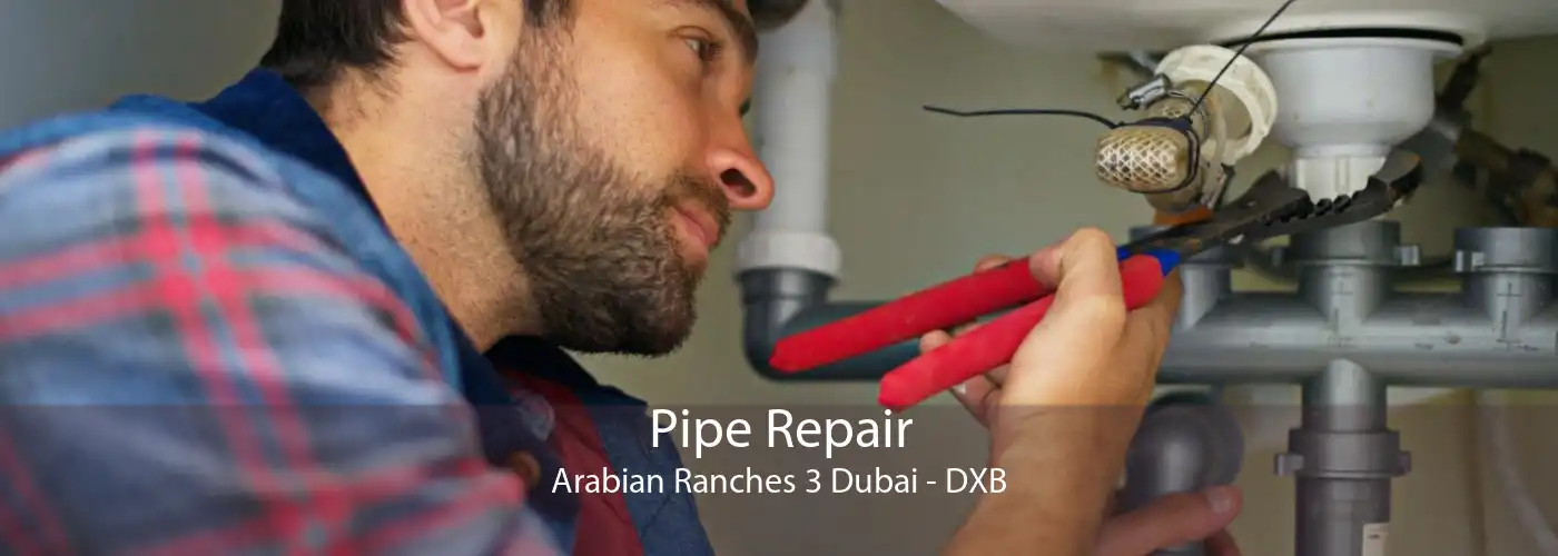 Pipe Repair Arabian Ranches 3 Dubai - DXB