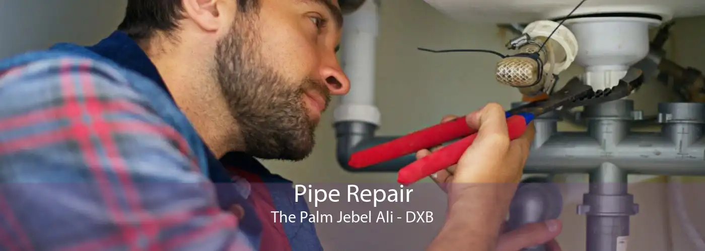 Pipe Repair The Palm Jebel Ali - DXB