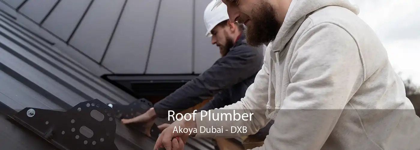 Roof Plumber Akoya Dubai - DXB