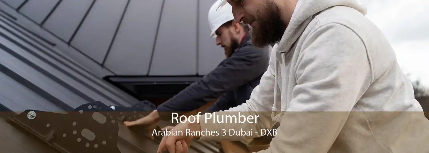 Roof Plumber Arabian Ranches 3 Dubai - DXB