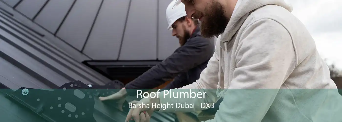 Roof Plumber Barsha Height Dubai - DXB