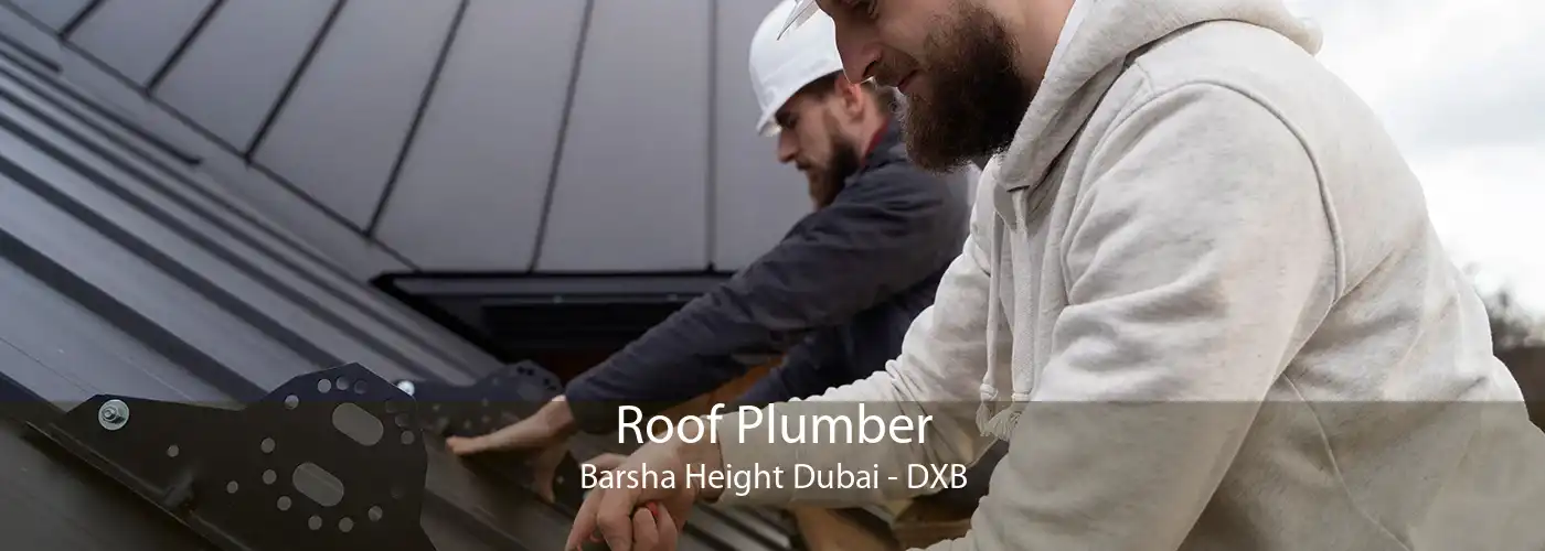 Roof Plumber Barsha Height Dubai - DXB