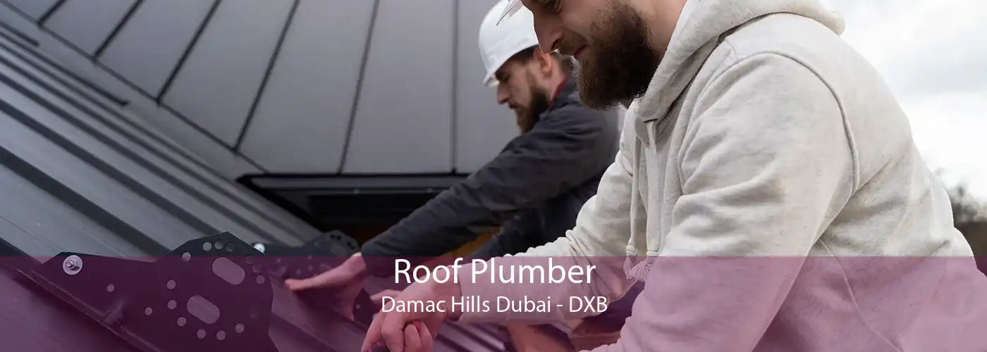 Roof Plumber Damac Hills Dubai - DXB