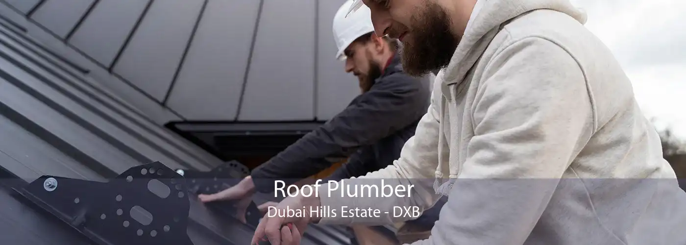 Roof Plumber Dubai Hills Estate - DXB