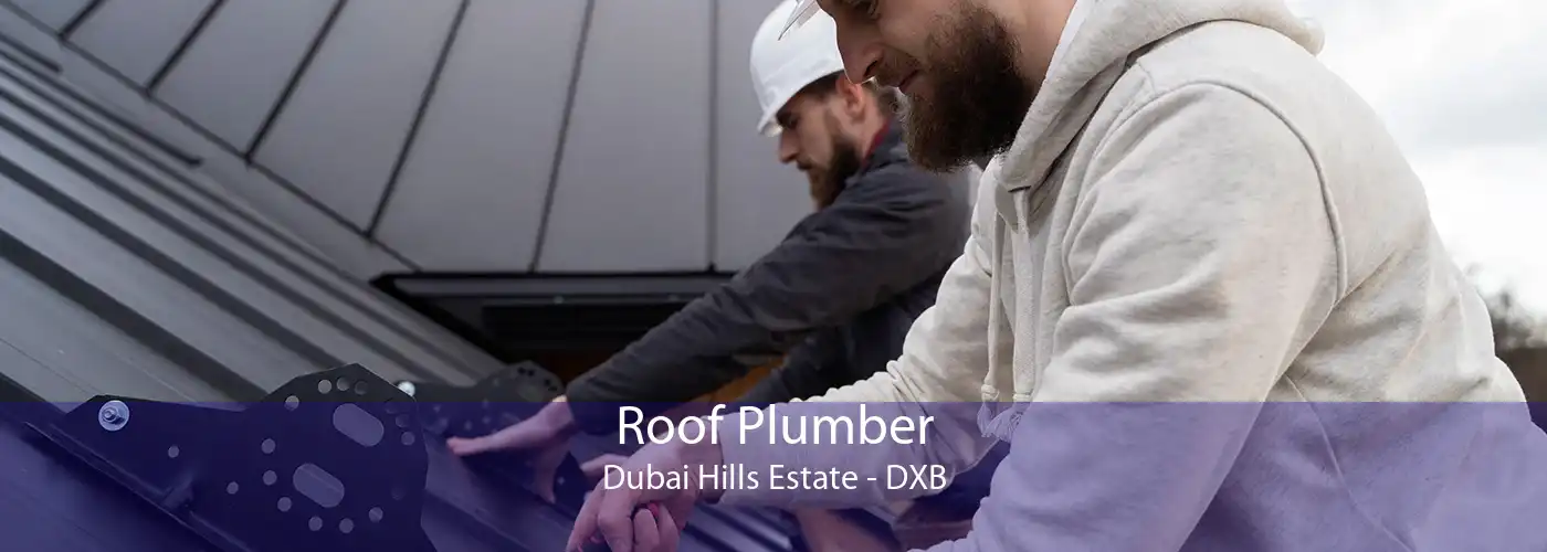 Roof Plumber Dubai Hills Estate - DXB