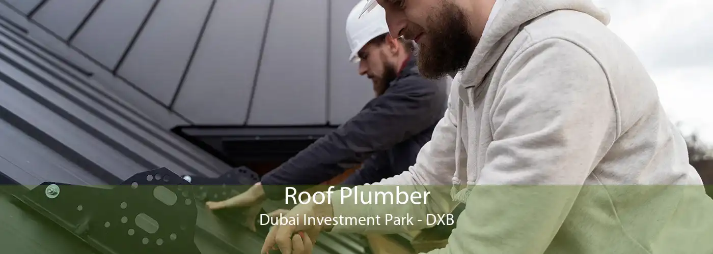 Roof Plumber Dubai Investment Park - DXB