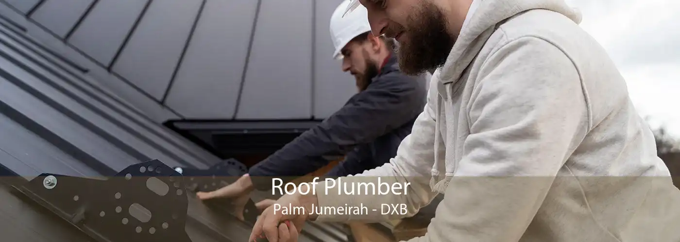 Roof Plumber Palm Jumeirah - DXB