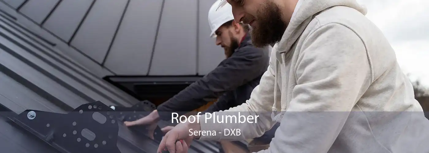 Roof Plumber Serena - DXB