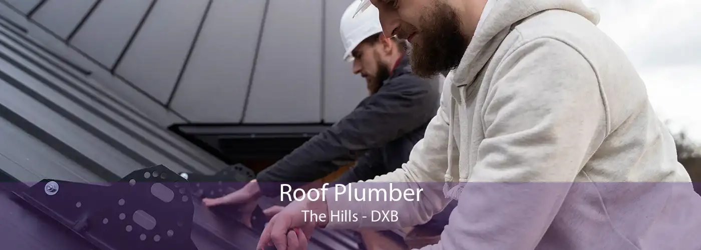 Roof Plumber The Hills - DXB